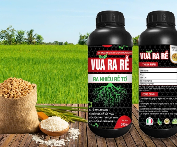 VUA RA RỄ