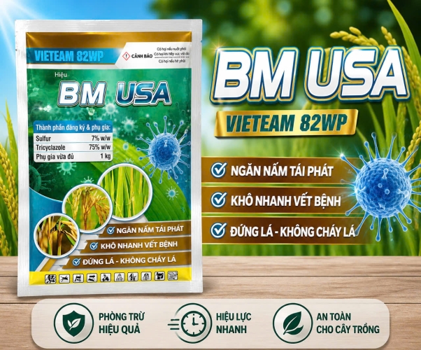 BM USA